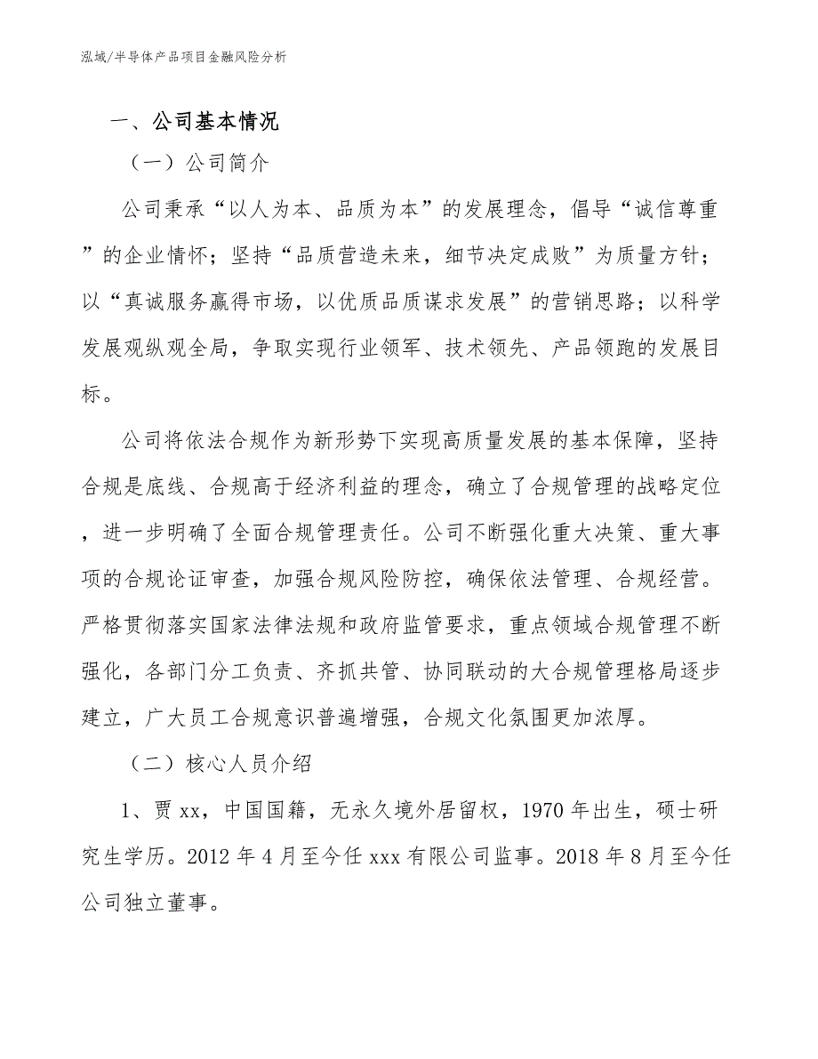 半导体产品项目金融风险分析_第3页