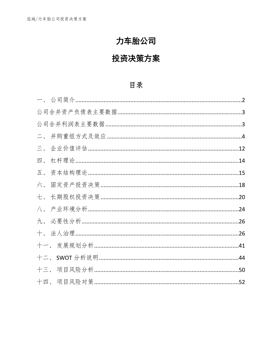 力车胎公司投资决策方案_第1页