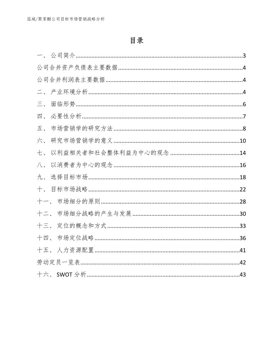 聚苯醚公司目标市场营销战略分析_第2页