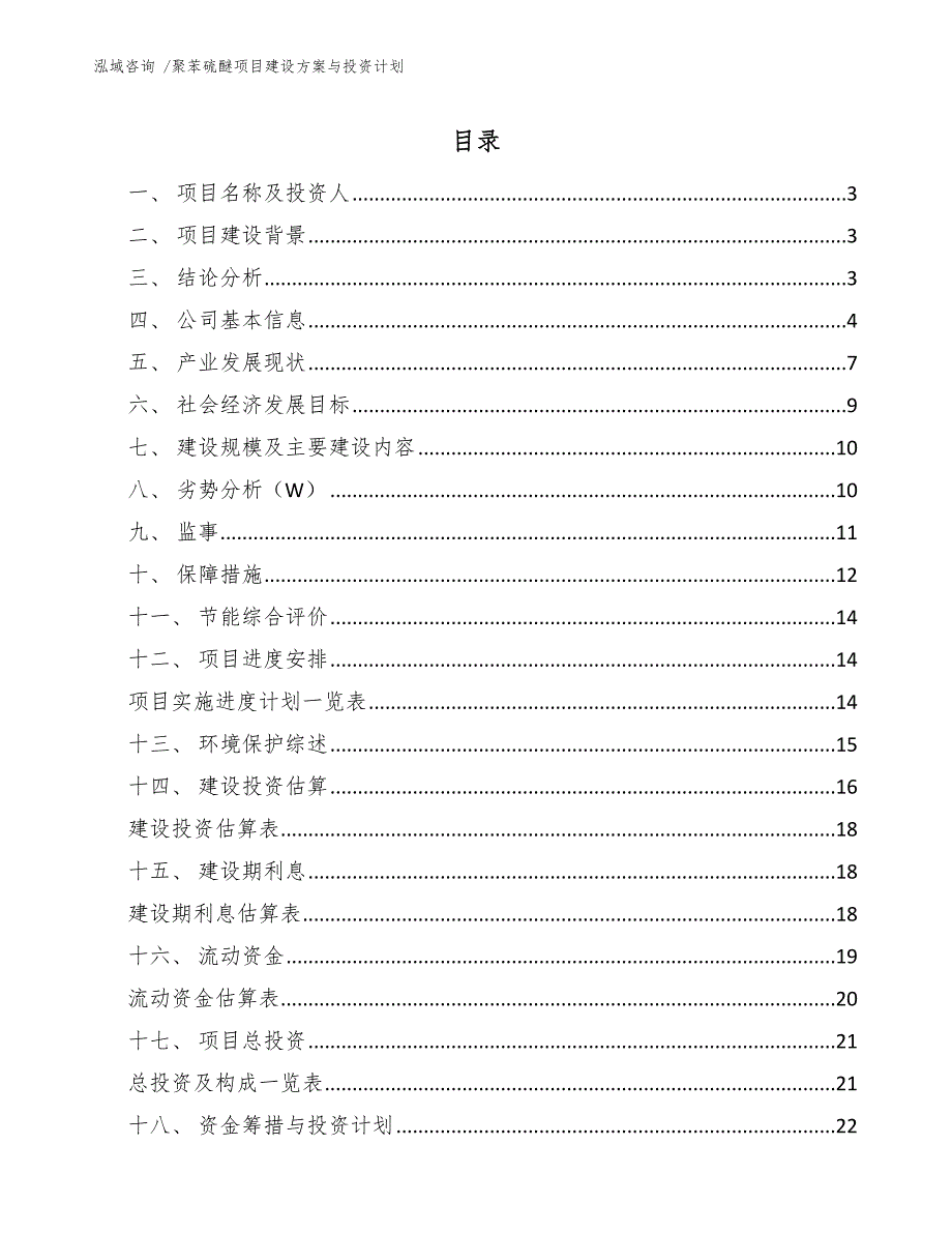 聚苯硫醚项目建设方案与投资计划_第1页