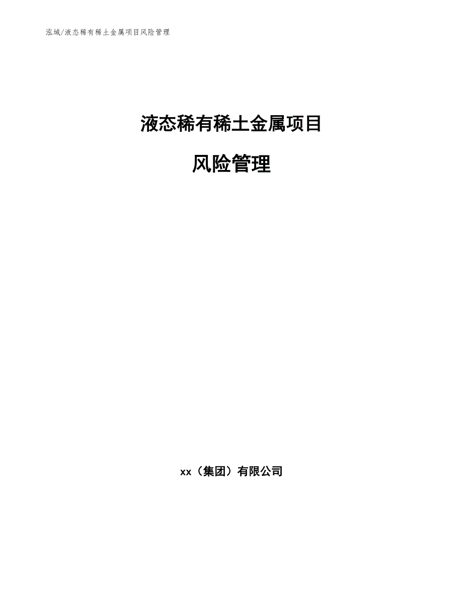 液态稀有稀土金属项目风险管理_第1页