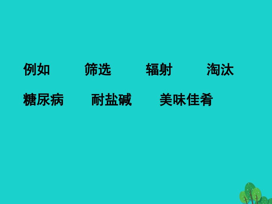 四年级语文上册第8单元32飞船上的特殊乘客课件新人教版_第4页