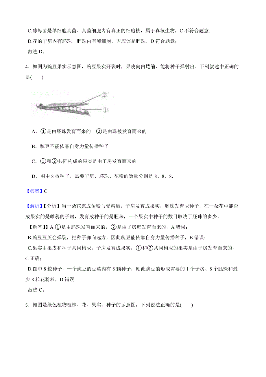 浙教版科学七下复习阶梯训练：植物（提高训练）教师用卷_第3页