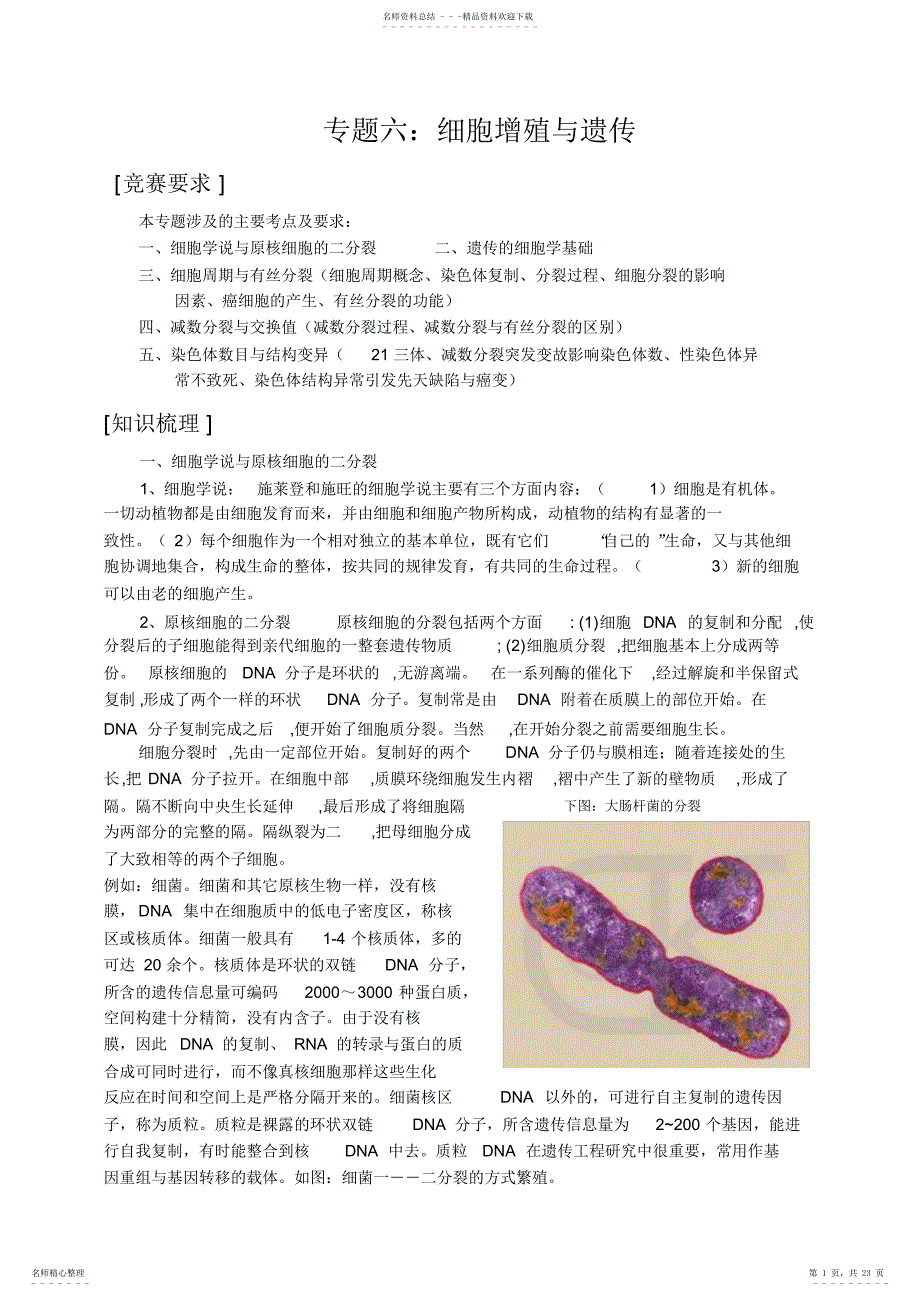 2022年高中生物竞赛辅导专题六细胞增殖与遗传_第1页