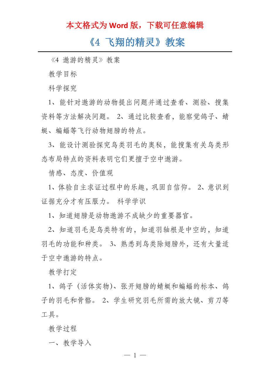 《4 飞翔的精灵》教案_第1页