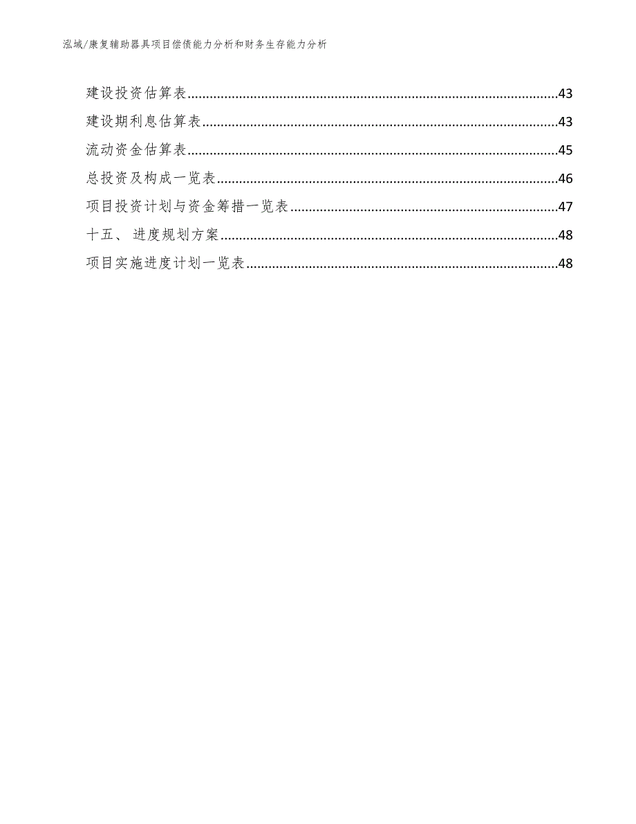 康复辅助器具项目偿债能力分析和财务生存能力分析【范文】_第2页