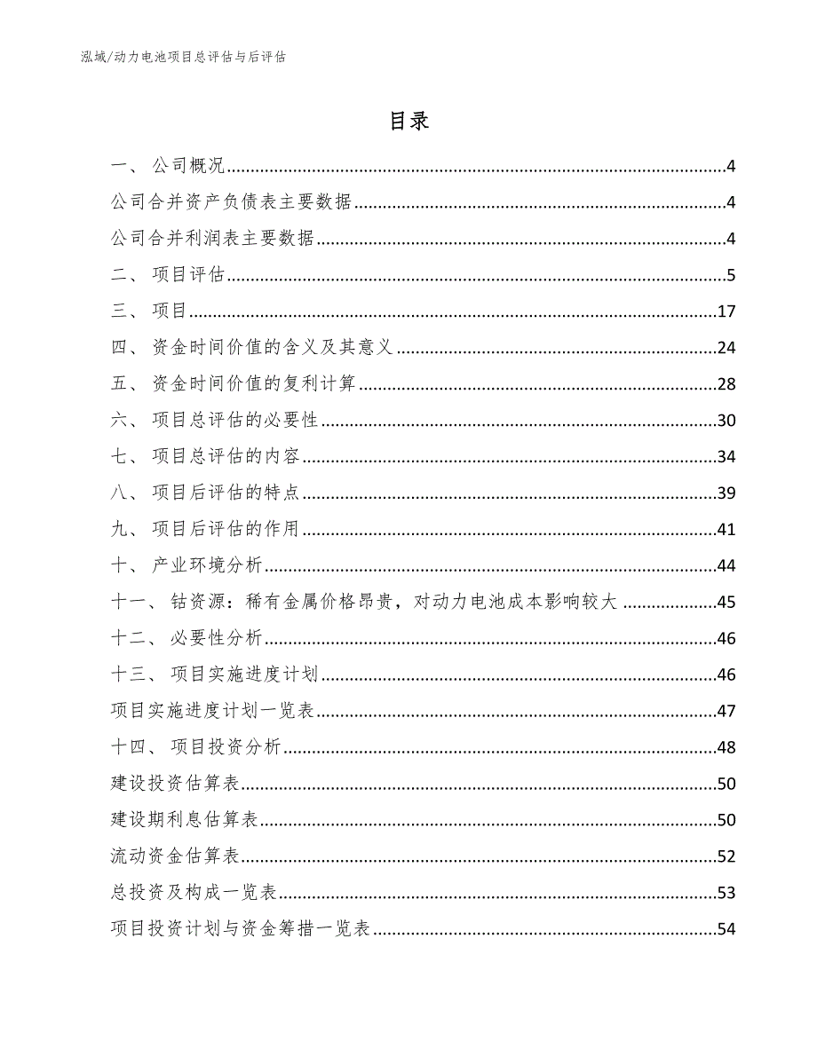 动力电池项目总评估与后评估_范文_第2页