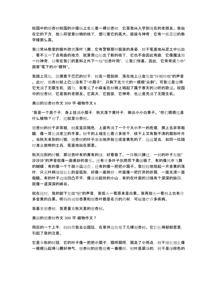 美丽的银杏树作文300字植物作文_第3页