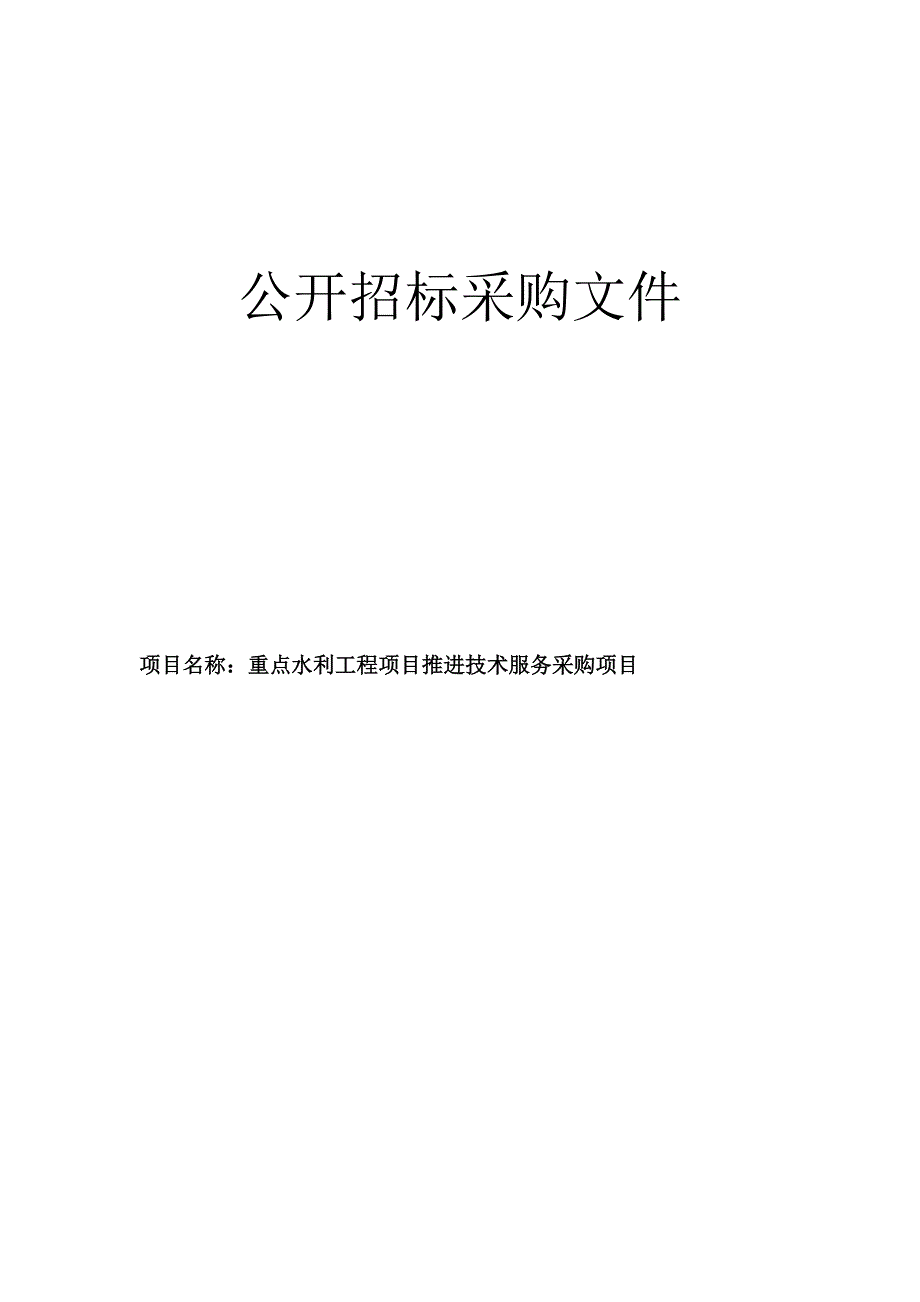 重点水利工程项目推进技术服务采购项目招标文件_第1页