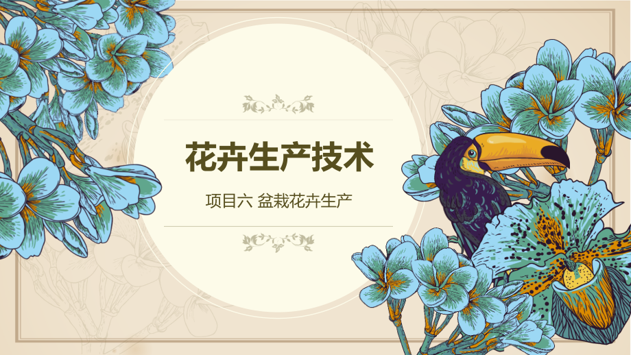 项目六-盆栽花卉生产_第1页