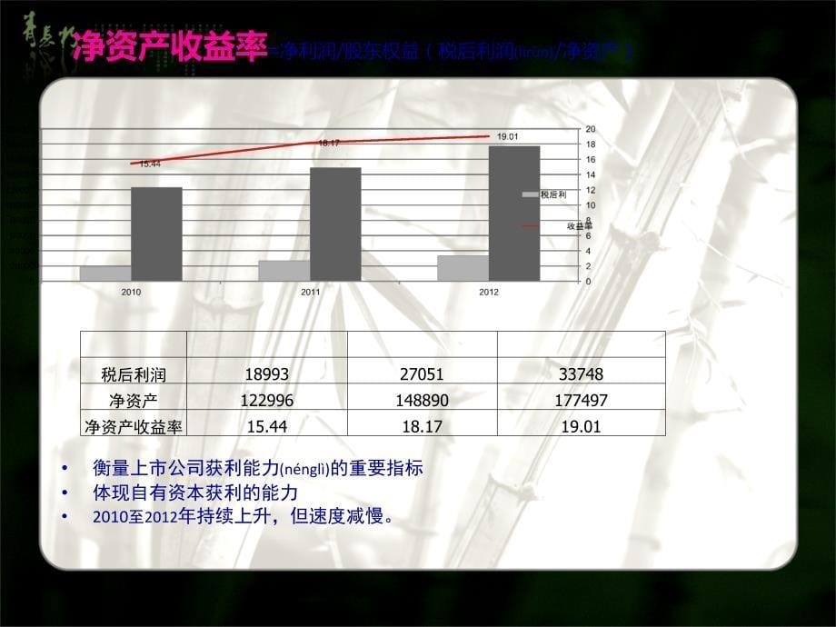 某银行财务分析报告(共33张PPT)_第5页