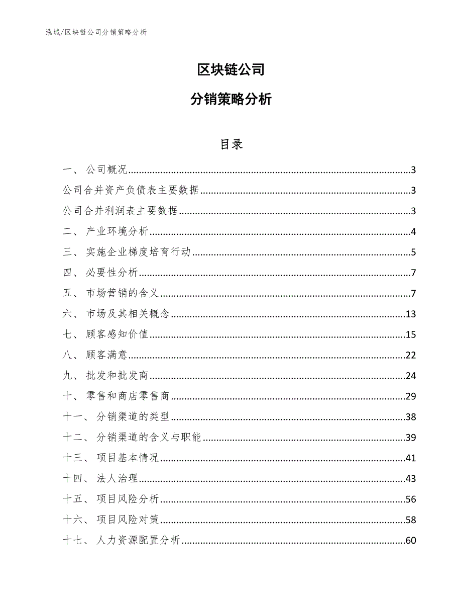 区块链公司分销策略分析（范文）_第1页