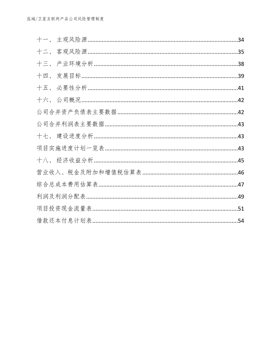 卫星互联网产品公司风险管理制度（参考）_第2页