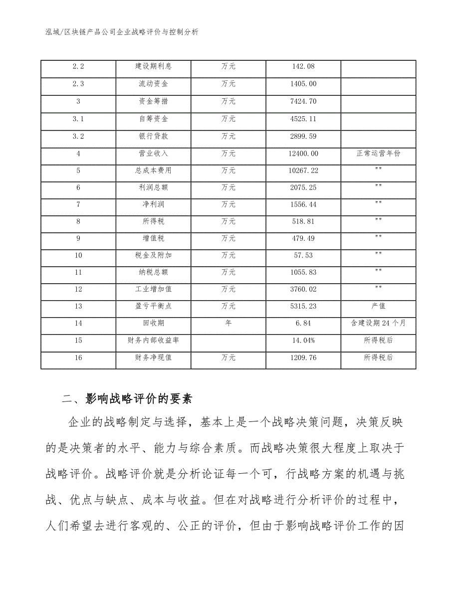 区块链产品公司企业战略评价与控制分析_第5页