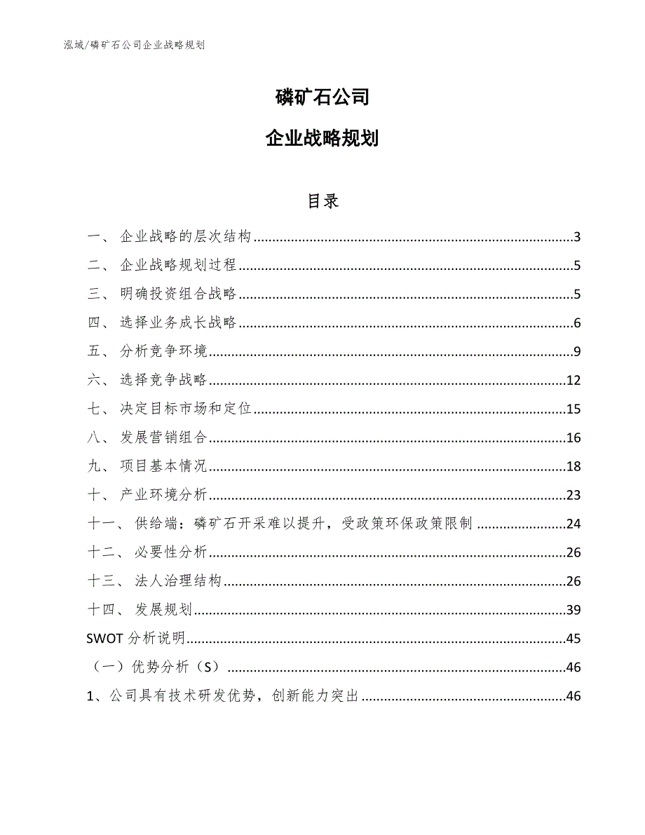 磷矿石公司企业战略规划_第1页