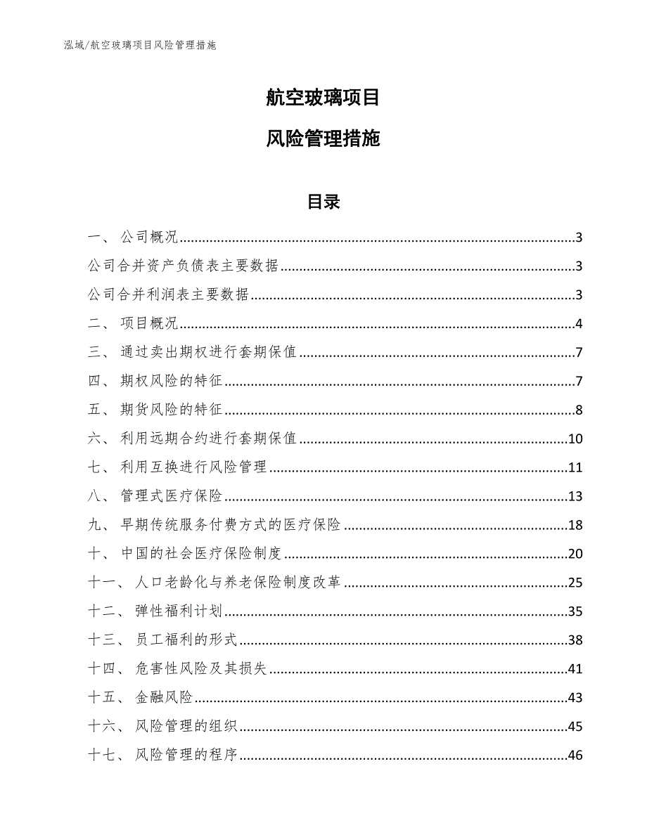 航空玻璃项目风险管理措施_第1页