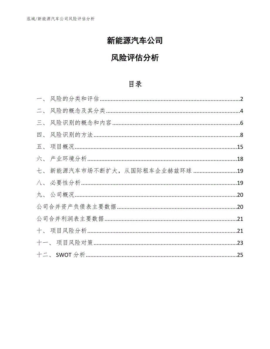 新能源汽车公司风险评估分析_范文_第1页
