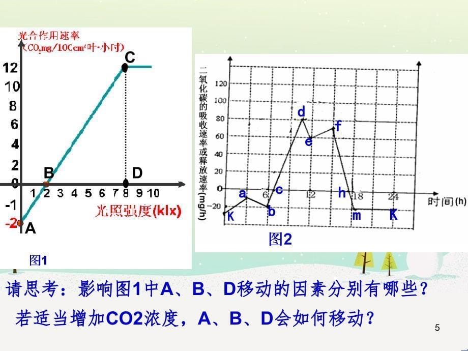 高考化学总复习 专题 沉淀溶解平衡课件 (2)_第5页