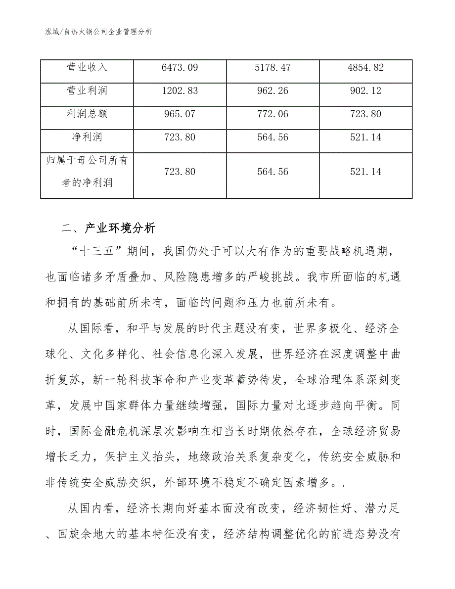 自热火锅公司企业管理分析_参考_第4页