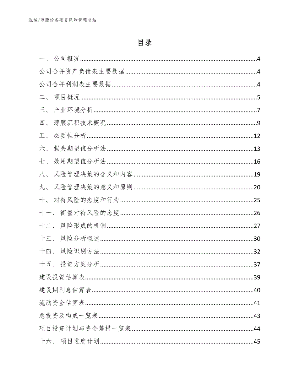 薄膜设备项目风险管理总结_第2页