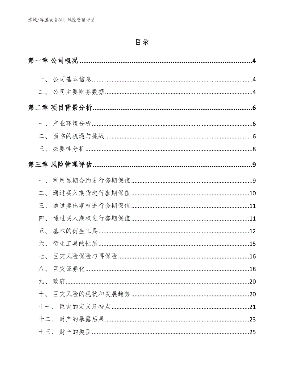 薄膜设备项目风险管理评估（参考）_第2页