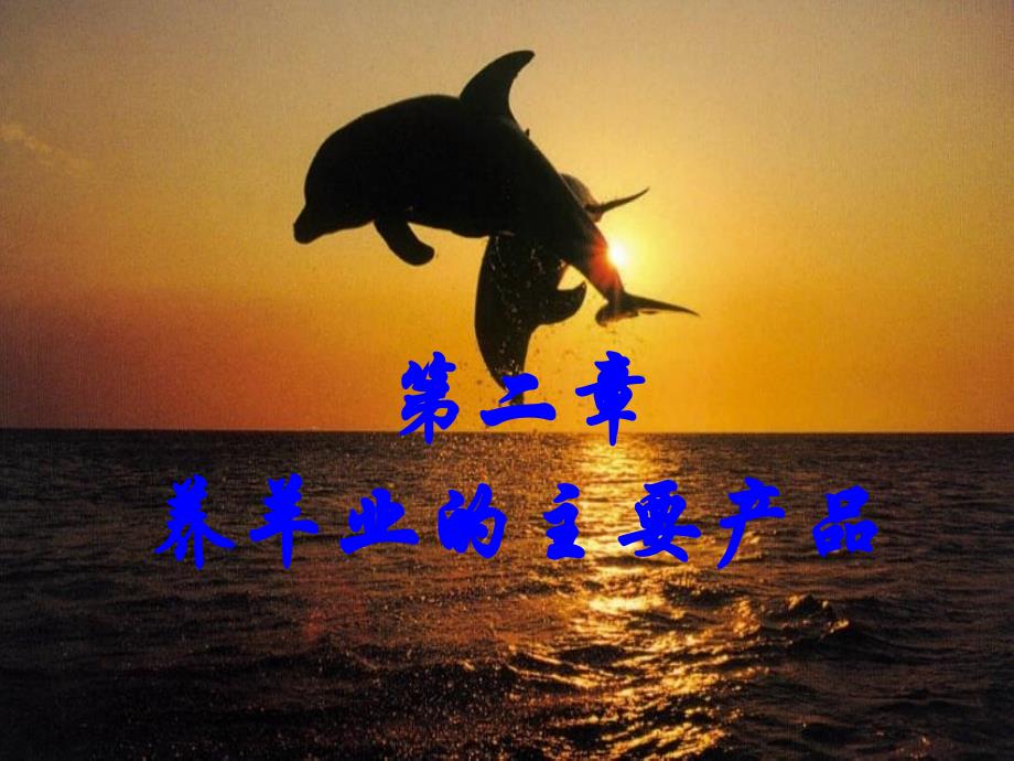 第二章养羊业主要产品_第1页