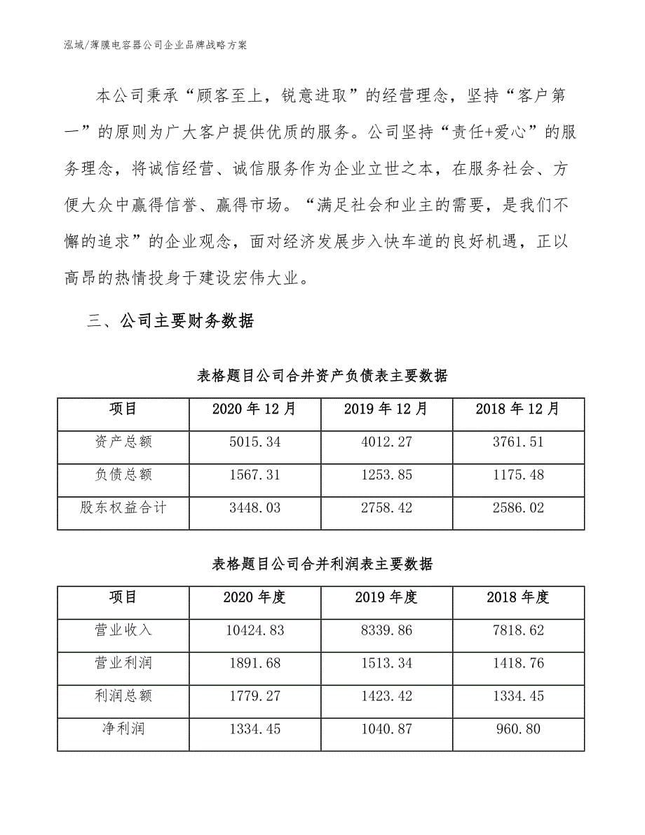 薄膜电容器公司企业品牌战略方案【范文】_第5页