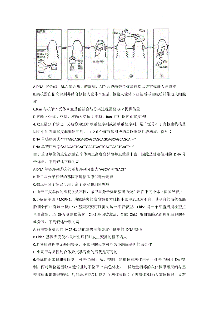 山东省济南市2022届高三5月模拟考试（三模）生物试题 word版含答案_第2页