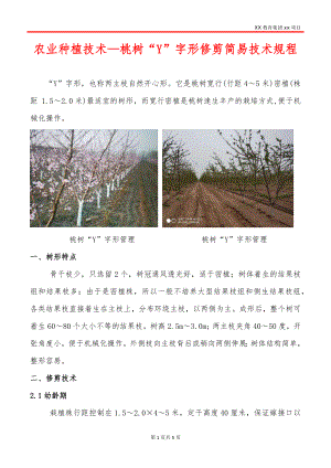 农业种植技术—桃树“Y”字形修剪简易技术规程