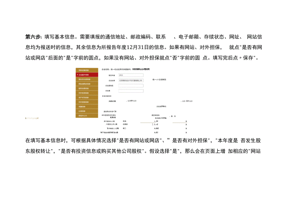 年报填写流程_第4页