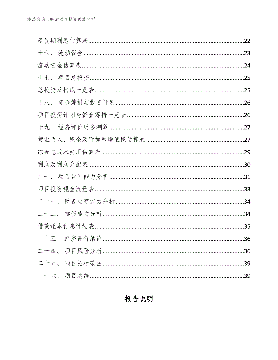 蚝油项目投资预算分析（模板范文）_第2页