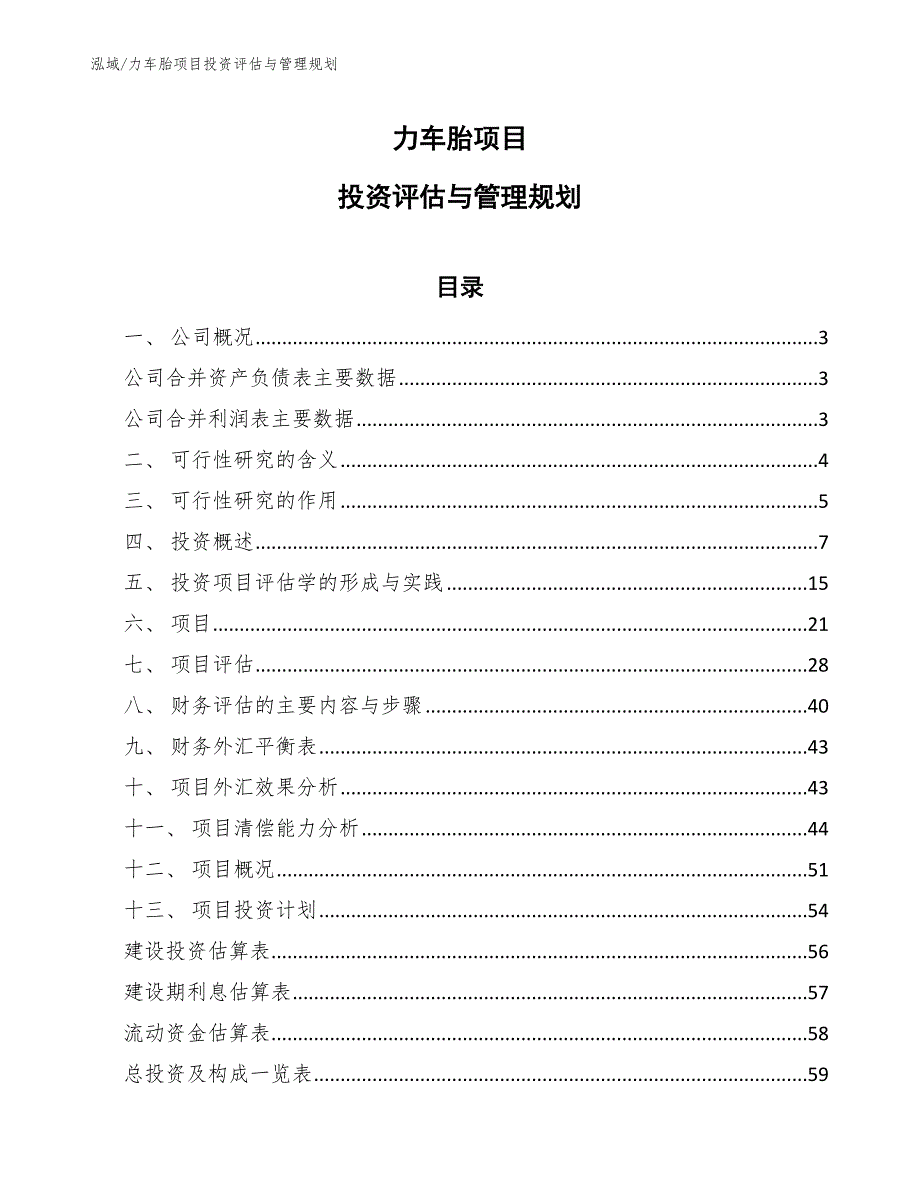 力车胎项目投资评估与管理规划_第1页