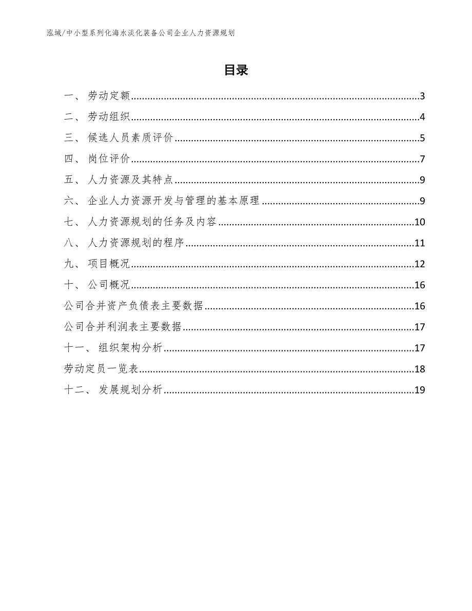 中小型系列化海水淡化装备公司企业人力资源规划_第2页