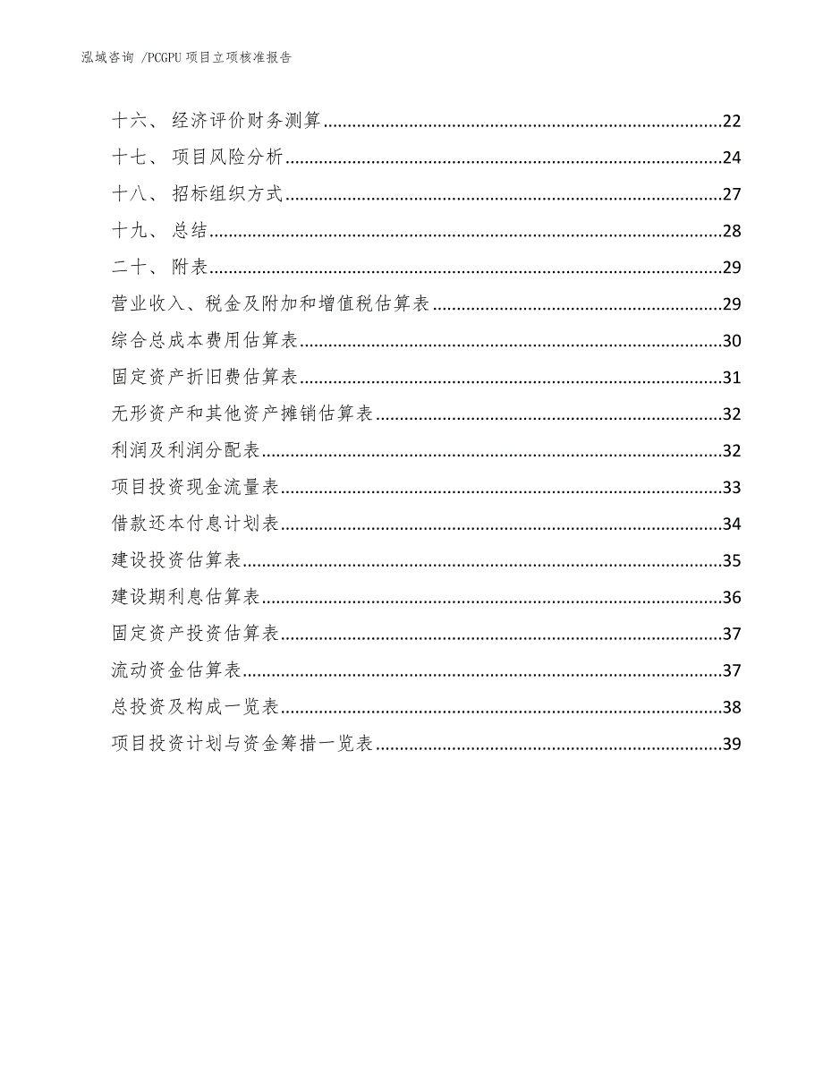 PCGPU项目立项核准报告-（模板范文）_第3页