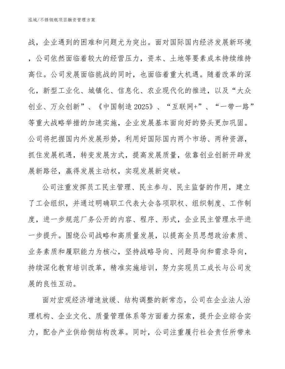 不锈钢瓶项目融资管理方案_第5页