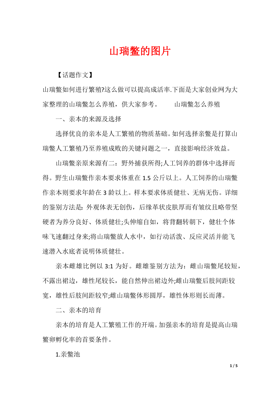 山瑞鳖的图片_第1页