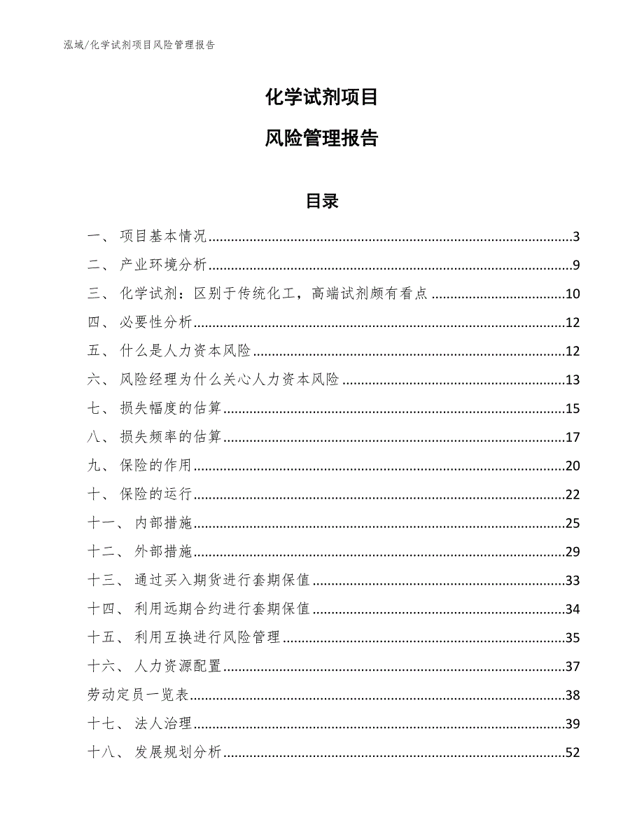 化学试剂项目风险管理报告_第1页