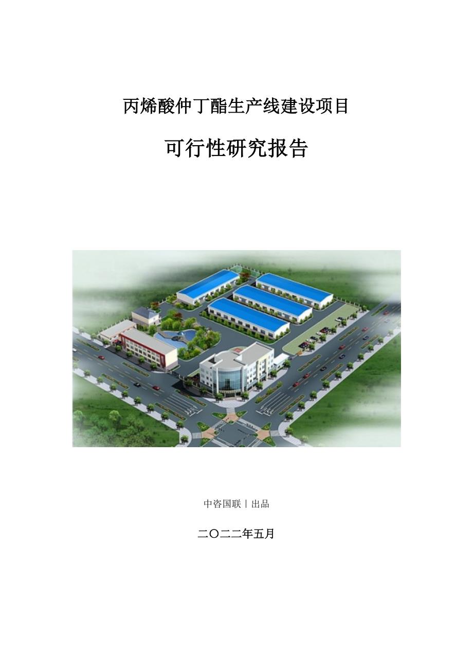 丙烯酸仲丁酯生产建设项目可行性研究报告_第1页