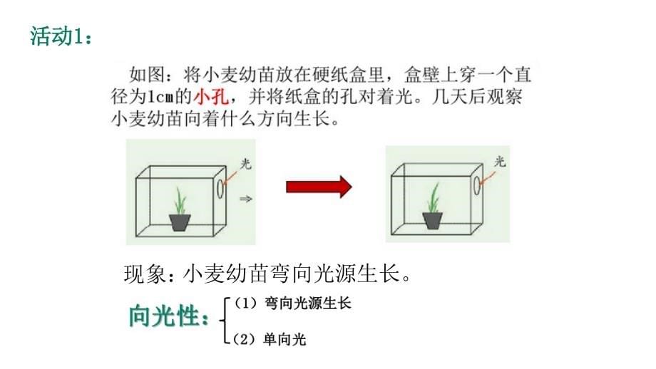 八年级科学上册第三章课件_第5页