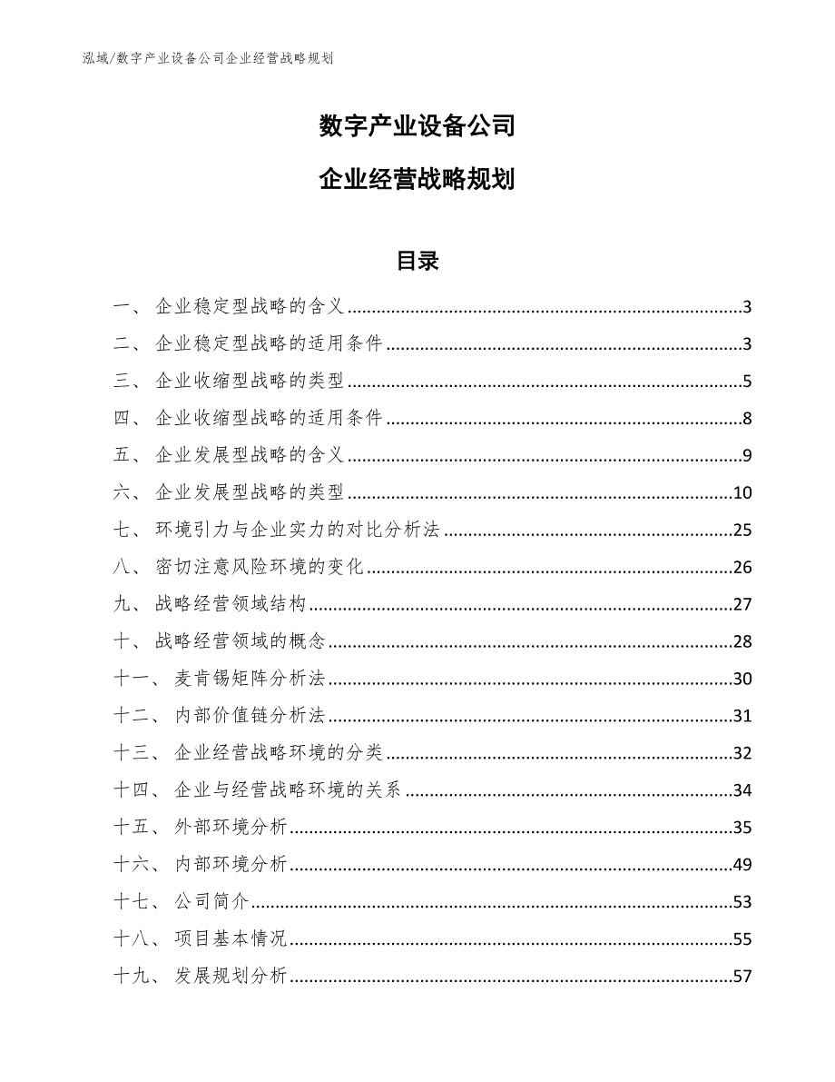 数字产业设备公司企业经营战略规划（参考）_第1页