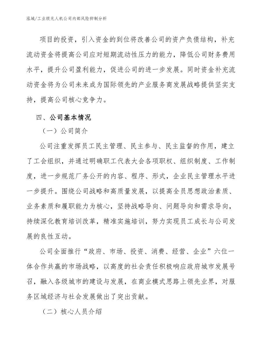 工业级无人机公司内部风险抑制分析_范文_第5页