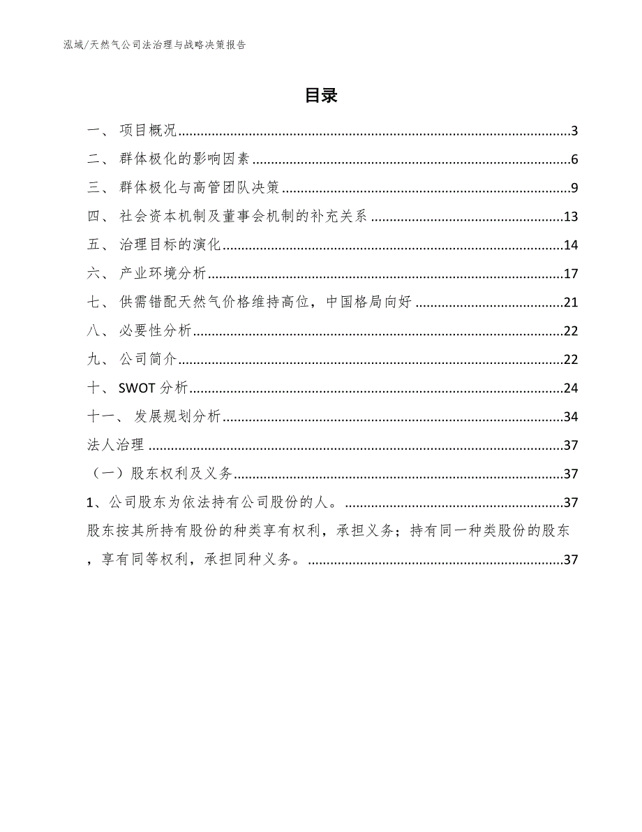 天然气公司法治理与战略决策报告_第2页