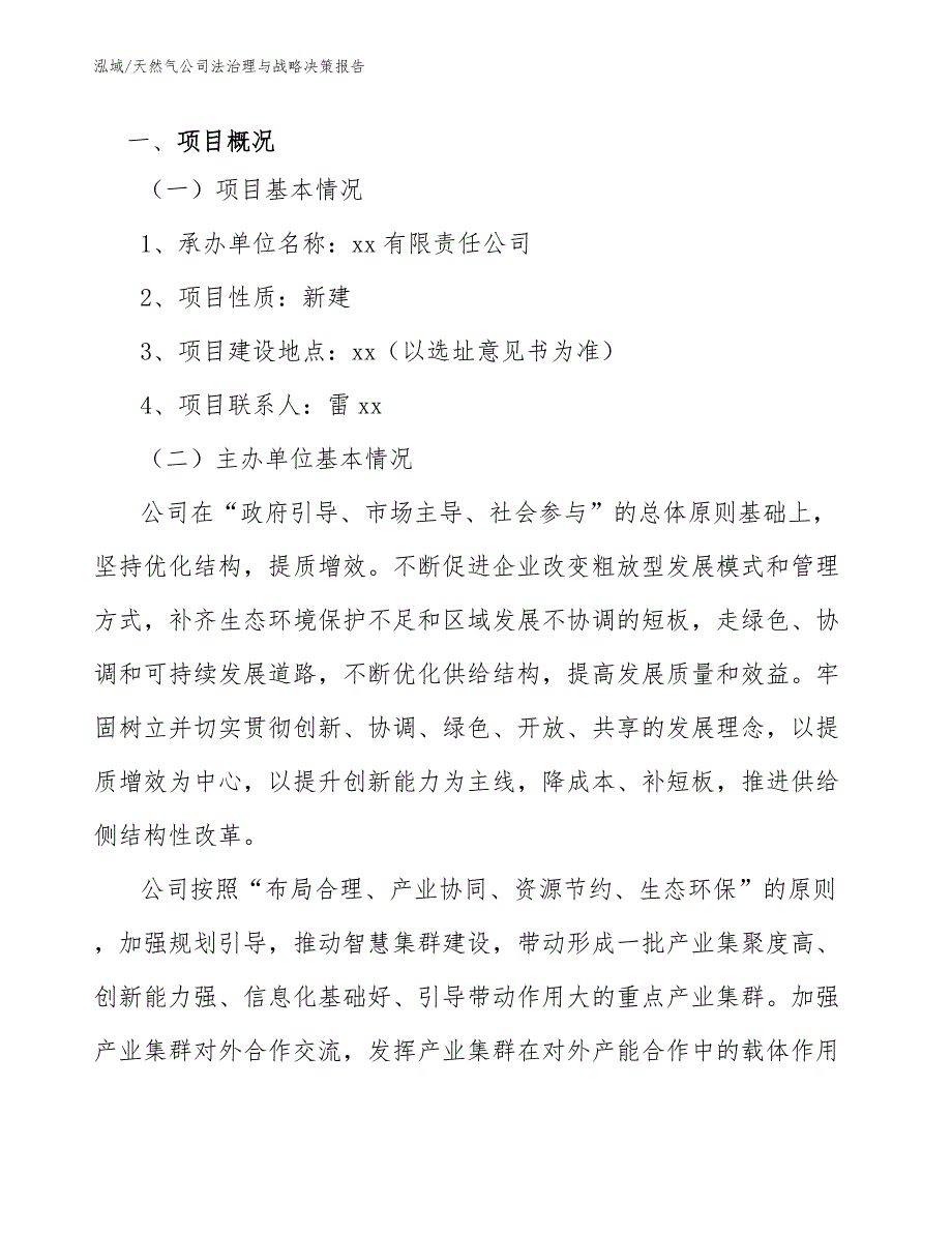 天然气公司法治理与战略决策报告_第3页