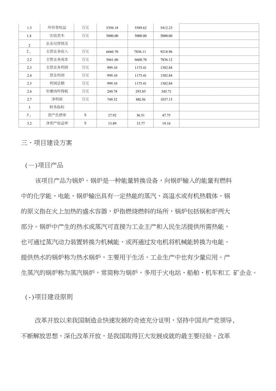 锅炉投资项目可行性分析报告_第5页