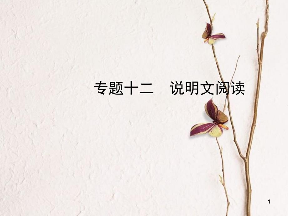 （潍坊专版）中考语文 专题十二 说明文阅读复习课件_第1页