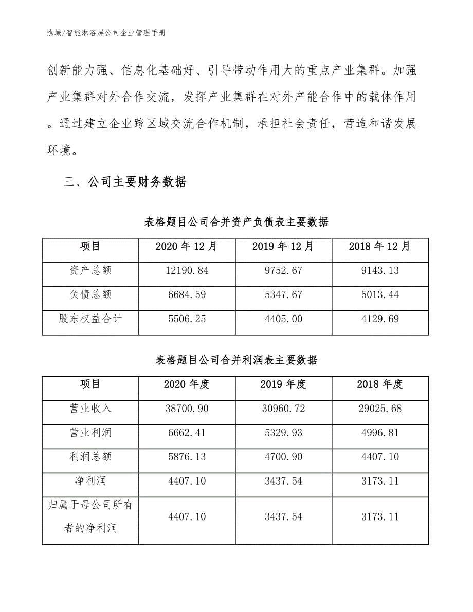 智能淋浴屏公司企业管理手册（参考）_第5页