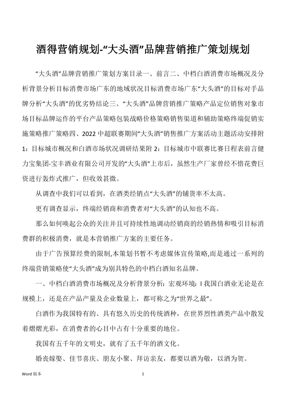 酒得营销规划-“大头酒”品牌营销推广策划规划_第1页