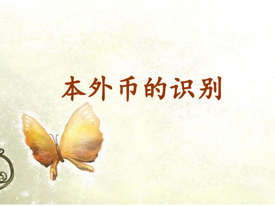 本外币的识别ppt课件_第1页