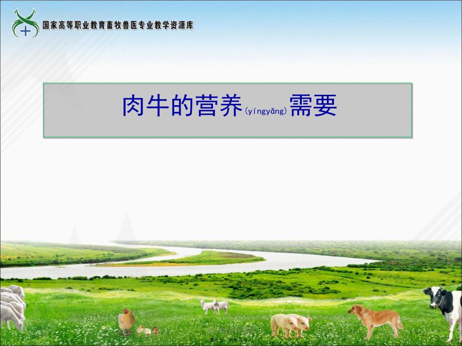 肉牛的营养需要课件_第1页