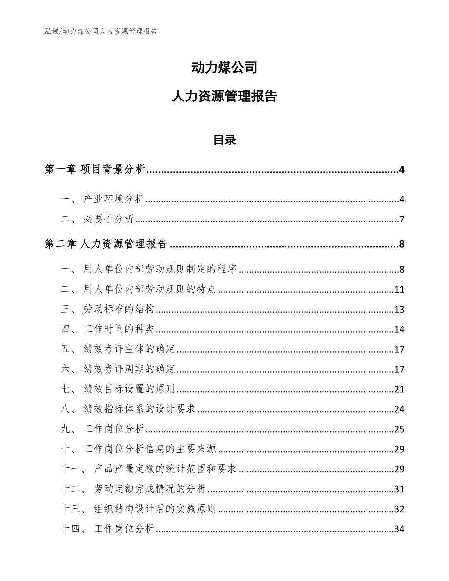 动力煤公司人力资源管理报告【参考】_第1页